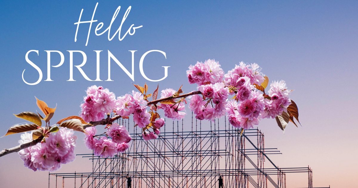 Springing into action | 13th March 2023 | Rec-tify your culture ...